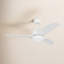 Ventilateur de plafond avec lumières DEL Aida-304608585-304608587-304608586