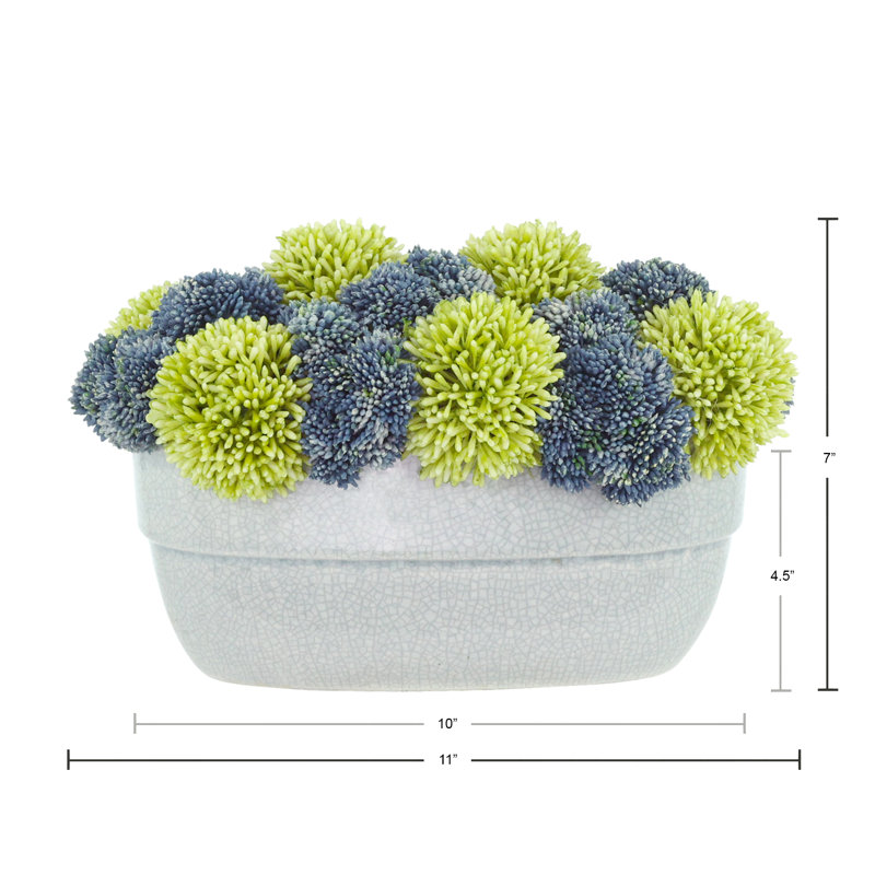 Assorted Sedum in Ceramic Pot