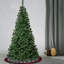 The Holiday Aisle® Linden Spruce Tree
