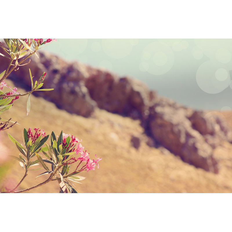 Flowers In Paradise I by Sylvia Coomes - Wrapped Canvas Print, 30cm H x 46cm W