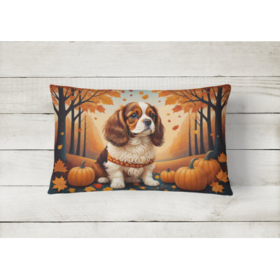 Other/No Pattern Outdoor Throw Pillow