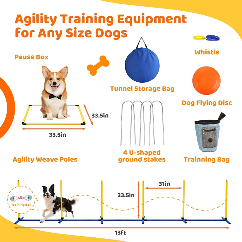 Équipement d'entraînement d'agilité pour chiens