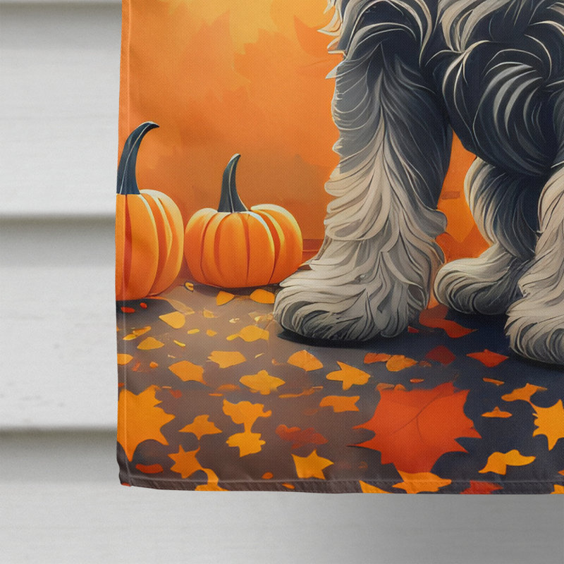 Double Sided 40'' H x 28'' W Polyester House Flag