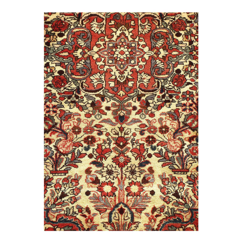 Tapis floral rouille / ivoire en coton / laine à motif floral fait à la main 4 pi 8 po x 6 pi 1 po