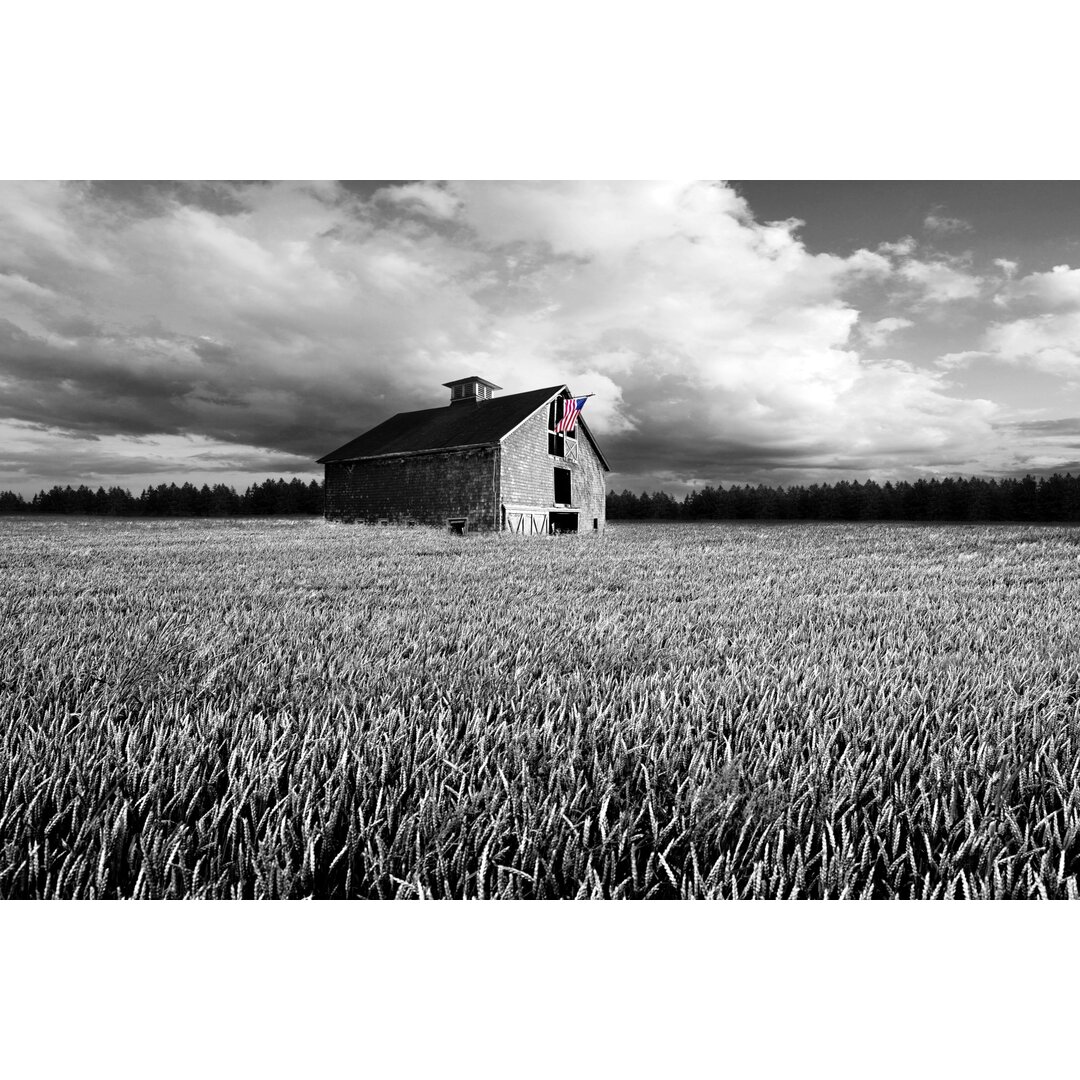 Leinwandbild Flags of Our Farmers XIII von James McLoughlin