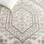 Tapis oriental Beckon Performance-1259516453