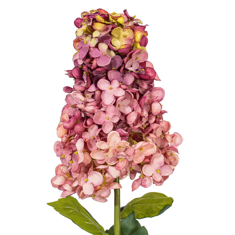Hydrangea Floral Stems, Mauve
