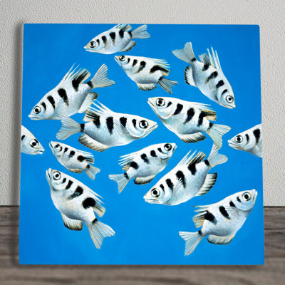 C.WILKINSON Coastal Wall Decor