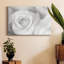 Rose Études II - reproduction sur toile tendue-977441091