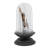 Text & Numbers Cloche Or Water Globe
