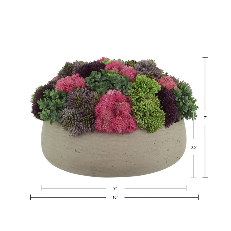 Sedum Arrangement in Fiberstone Planter, Light Gray