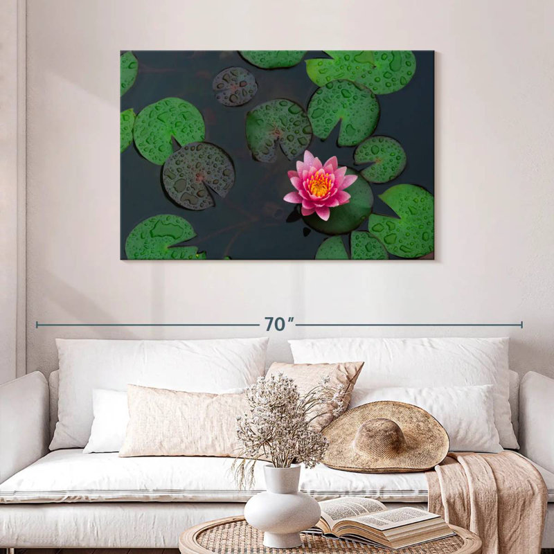 Harnek Lotus In The Rain