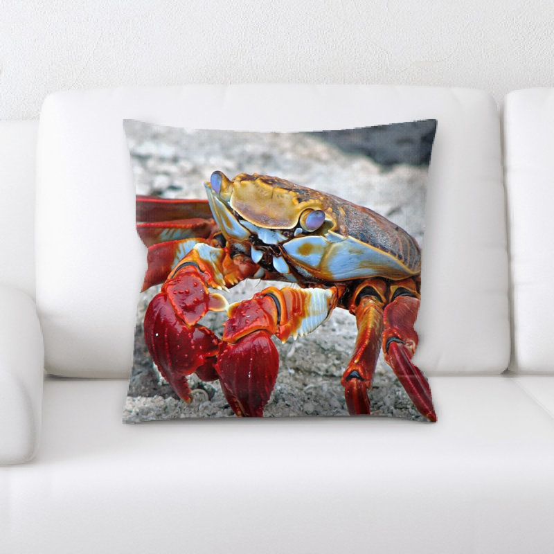 Coussin crabe