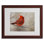 " Cardinal In Winter " by Lois Bryan
