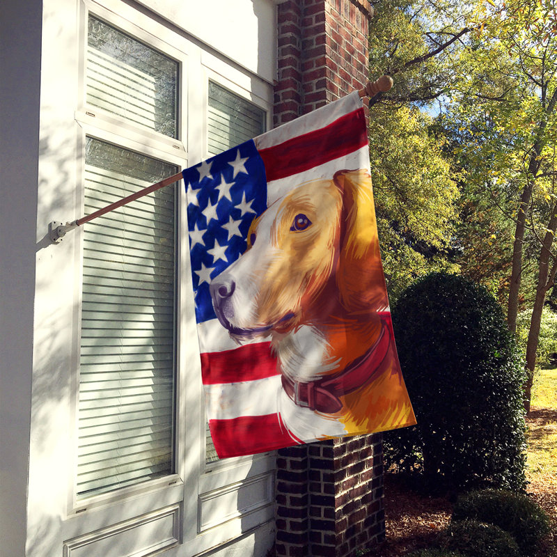 Polyester à 2 côtés 28 x 40 po drapeau maison, Chien de la vallée de la Save
