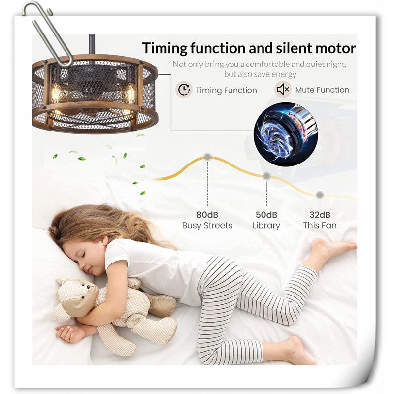 Museau Ceiling Fan with LED Lights