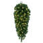 Wildon Home® 48" Deluxe Sequoia Pine Artificial Teardrop with 100 Warm White Wide Angle Lights