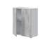 Shoe Storage Cabinet