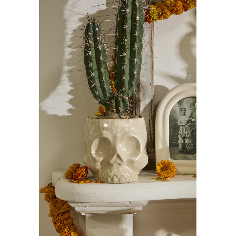 Pot de crâne hanté 6,5 po x 7,5 po x 6,25 po