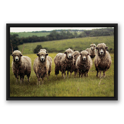 «Sheep with Sticks», reproduction sur toile