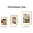 Aluminum Gallery Wall Frame Set Of 10, Including 2Pcs 8X10, 4Pcs 5X7, 4Pcs 4X6 Photo Frames For Wall Or Tabletop Display, Multiple Sizes Picture Frames Collage Wall Decor, Gold