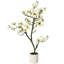 120cm Plant