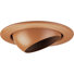 4" Incandescent Eyeball Recessed Light Trim