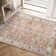 Nily Chenille Mashine Washable Vintage Indoor Arae Rug with Non-Slip Backing for Bedroom Living Room Kitchen Entryway