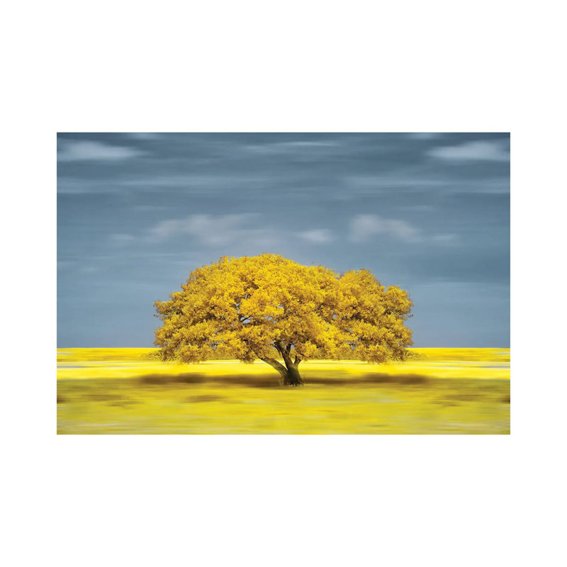 Lonely Yellow On The Field by Glauco Meneghelli - Wrapped Canvas Gallery-Wrapped Canvas Giclée