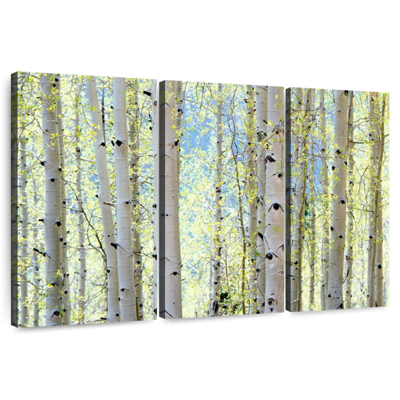 Harnek Aspens, 36" H x 57" W