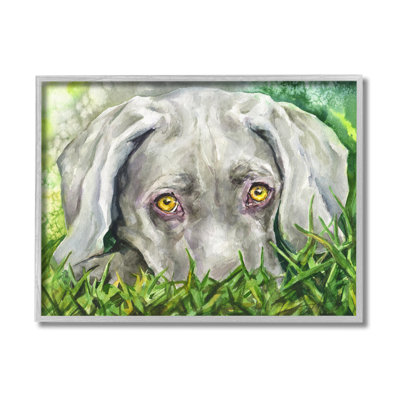 Chiot Weimaraner reposant dans l'herbe verte