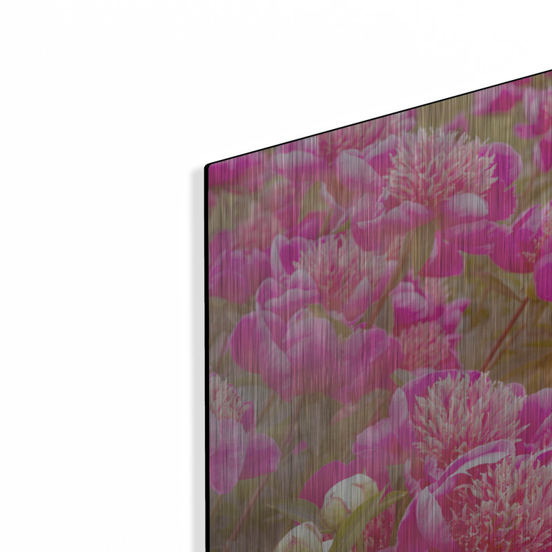 «Pinks» par Dennis Frates, H 12 po x l 16 po