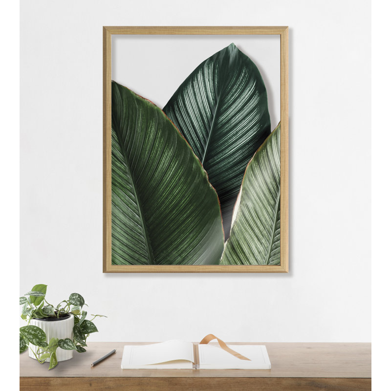 «Tropical Palm Leaves» par Amy Peterson, art mural en verre encadré