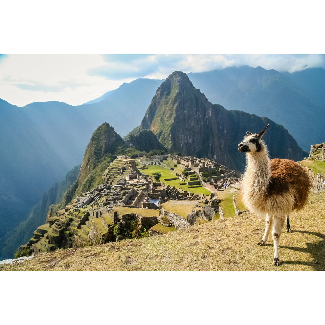 Leinwandbild Lama and Machu Picchu