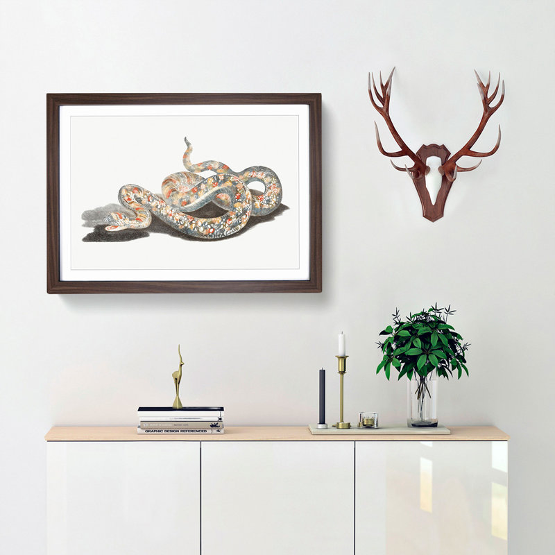 A Snake by Johan Teyler - Single Picture Frame Painting, 45cm H x 63cm W x 2cm D, Walnut Framed