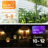 Solar Lights Outdoor, 4 Pack Solar Torch Light with Flickering Flame, Waterproof Solares Garden Light, Outdoor Solares Lights for Yard, Flame Torches for Halloween Decorations Decor Yard