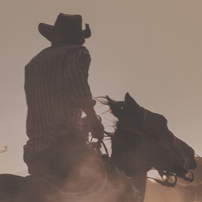 «Dusty Herd Chase (lot de 2)» par Ismail Atabek, reproduction de photo encadrée sous verre