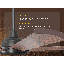 Bison Ceiling Fan-1399497236-1399497235-1399497237