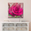 «Painted Petals XL», reproduction de photo sur toile tendue-28141320
