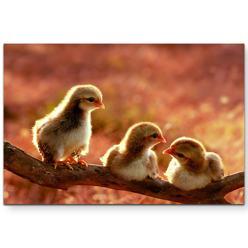 1 Piece Wrapped Canvas Wall Art, 120cm L x 80cm W