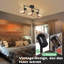 Dilkon Glass Spotlight