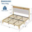 Base de lit Boucle, base de lit avec lumière à DEL RVB et station de charge, tête de lit à 2 niveaux et support de lattes en bois robuste, aucun sommier requis, assemblage facile-1399210700-1399210703