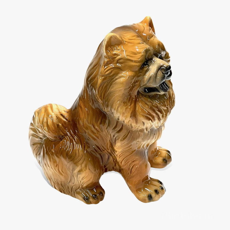 DOG CHOW CHOW