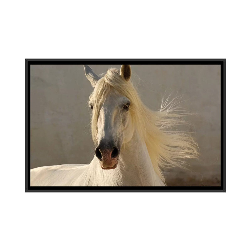 Elegance by Tony Stromberg - Single Picture Frame Print, 18" H x 26" W x 1.5" D, Black Framed Canvas, No Mat