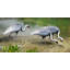 White Naped Cranes by Chris Vest - Wrapped Canvas Print-846654399
