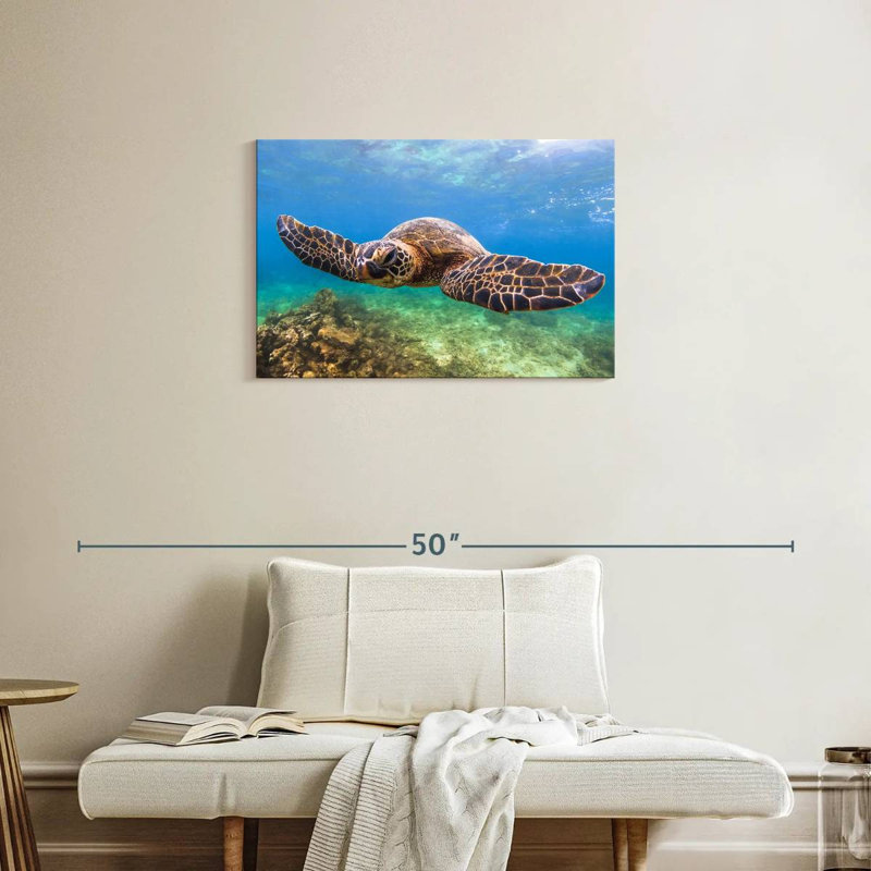Crowle Flapping Turtle, 20" H x 30" W