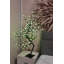 Arbre lumineux 168 lumières del bubblegum