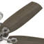 Ventilateur de plafond standard à 5 pales de 52 po avec chaîne de traction et ensemble d'éclairage inclus Builder Plus-56398283