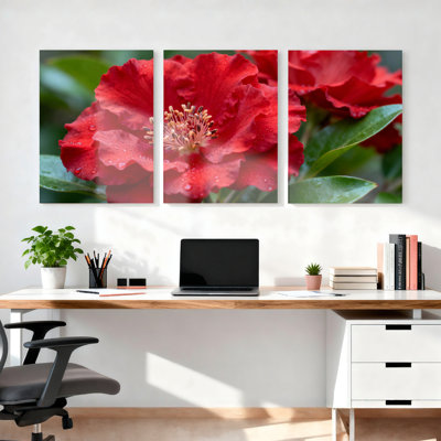 Ensemble de 3 tableaux sur toile tendue représentant des rhododendrons rouges, pour la décoration du salon, de la chambre ou du bureau.