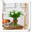 Tulip Arrangement-1226906764